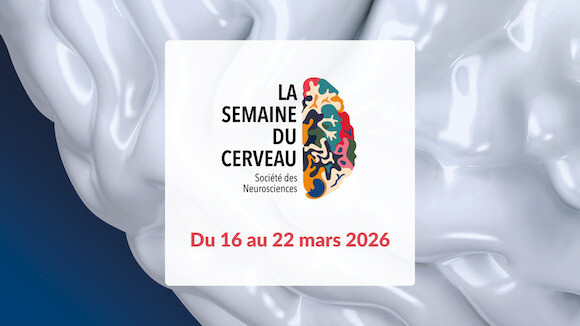 La semaine du cerveau
