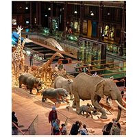 Voyage à la galerie de l'évolution