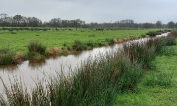 Réunion d'information MAEC - Enjeu biodiversité