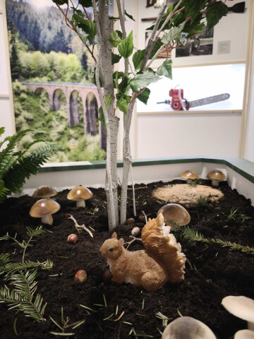 Explorons la forêt des Monts du Beaujolais !