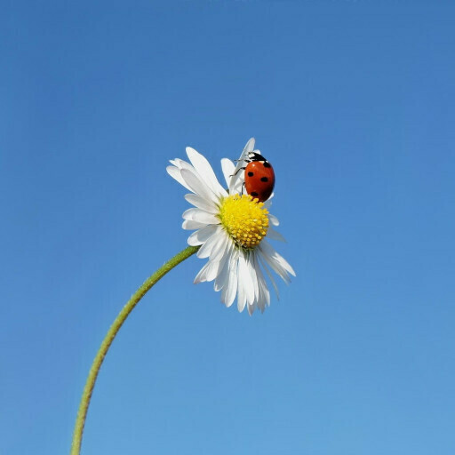 Atelier de bibliothérapie : les petits bonheurs