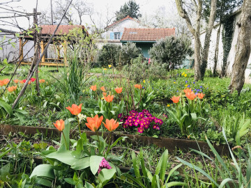 Visite du jardin et atelier nichoir