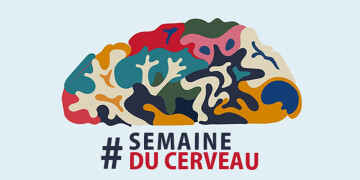 Semaine du cerveau : l'autisme