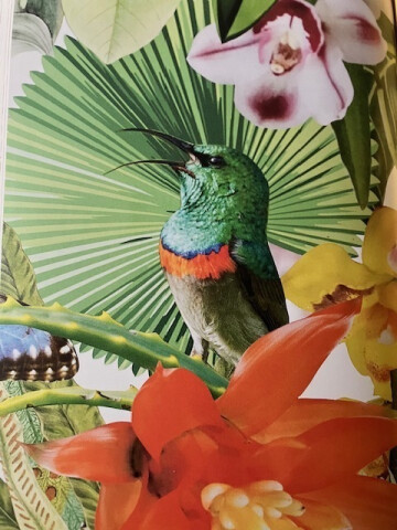 L'Hypothèse d'Astrée