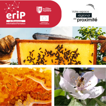 Visite entreprise: Apiculteur Maison Morant