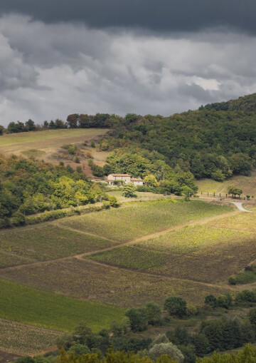 Exposition L'architecte ne mord (presque) pas #2