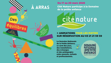 Bout'choux, Des Equilibres