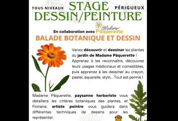 STAGE BALADE BOTANIQUE ET DESSIN