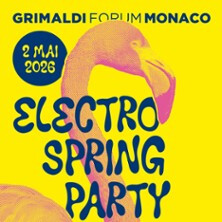 Electro Spring Party :  Nathalie Duchene - Feder - Dj Baloo
