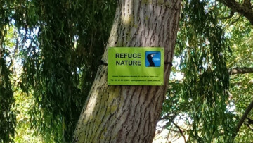 CARNEVILLE/50 : Convention de printemps