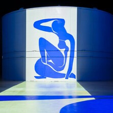 Bassins des Lumières - Expositions Matisse, la Symphonie des Couleurs + Frida Kahlo