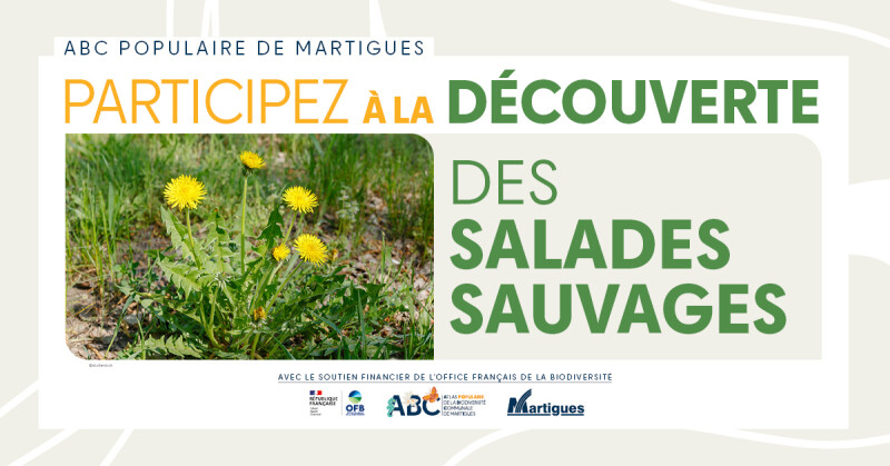 Atlas populaire de la Biodiversité Communale : "Découverte des salades sauvages"