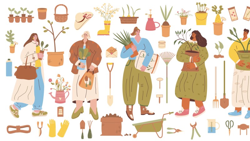 Troc des plantes & graines