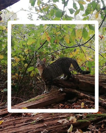 Découvrez l'escape game du pré