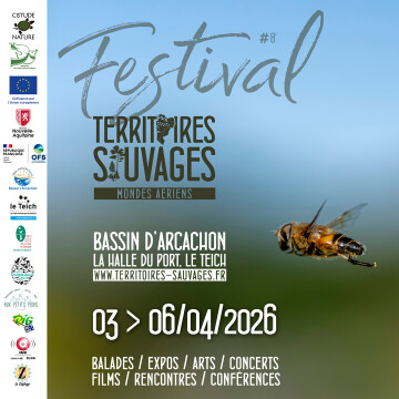 Festival Territoires Sauvages #8 - Mondes aériens