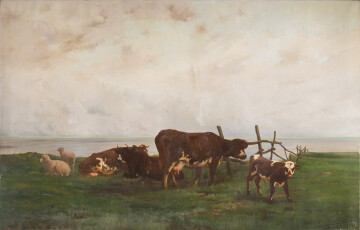 Petit troupeau pour les petits