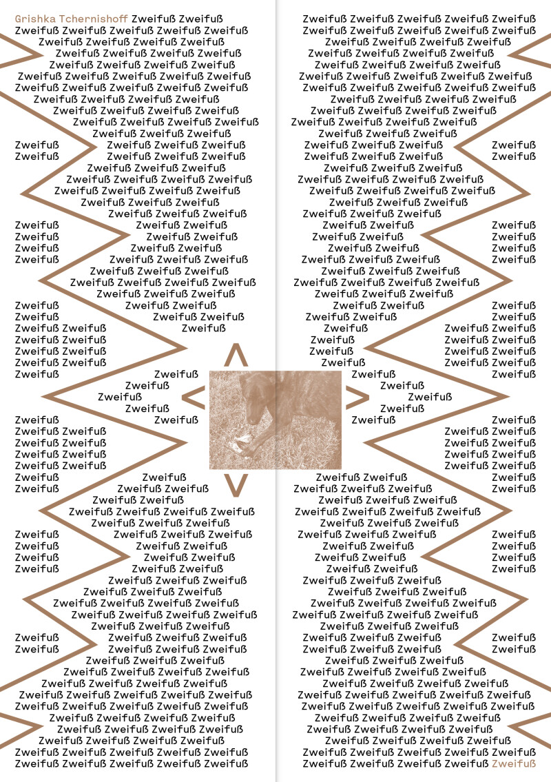 Exposition "Zweifuß", Grishka Tchernishoff