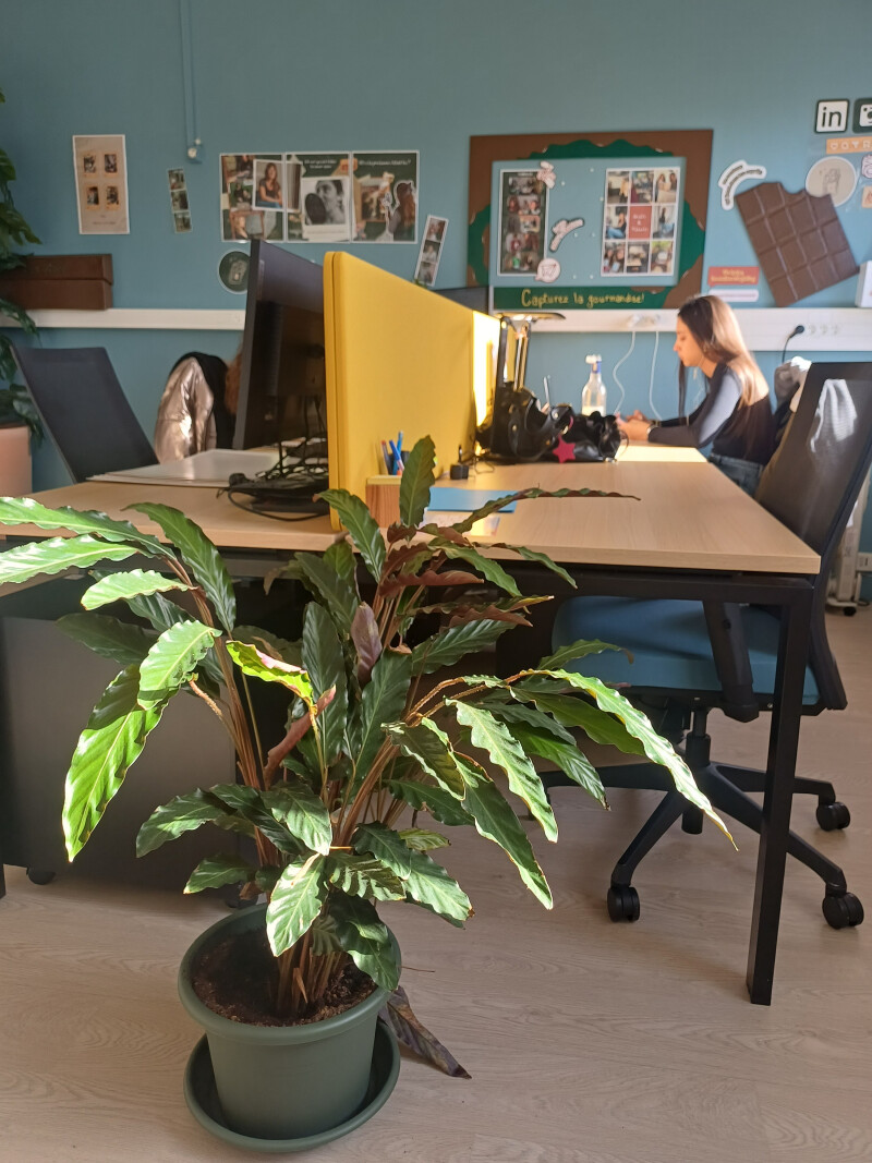 Réunion d’information – Appel à projets 2026, Incubateur à impact de Talence