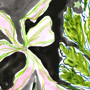 Dessiner l’exposition : ateliers avec Camille Chastang