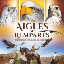 Les Aigles des Remparts - Fauconnerie Equestre