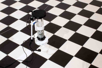 Concert Les flûtes, le fou et les sirènes - Mille au Carré