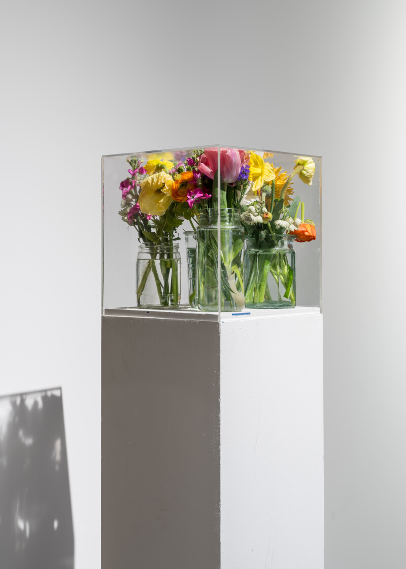 Visite Pollen - Autour des fleurs