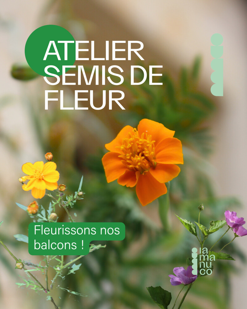 Atelier semi de fleur avec Dominique