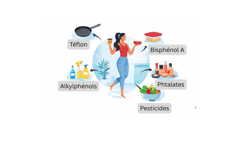 Conférence perturbateurs endocriniens