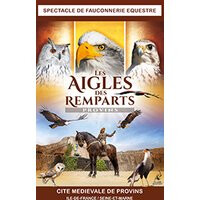 Les aigles des remparts