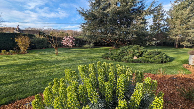 Visite découverte libre du jardin