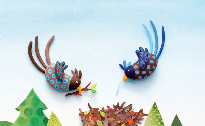 Crée ton oiseau , dans l'univers de Coralie Saudo