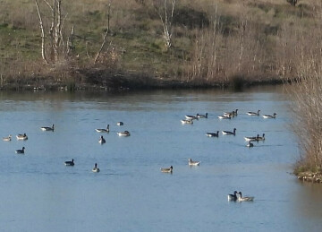 Sortie Nature avec la LPO au lac des Pradasses