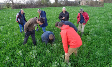 Visite d'essai de travail du sol à Sainte-Cécile (85)