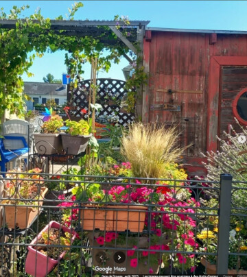 Déséquilibre au jardin