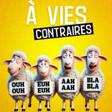 A Vie Contraire - Café-Théâtre Les 3T d'A Côté, Toulouse