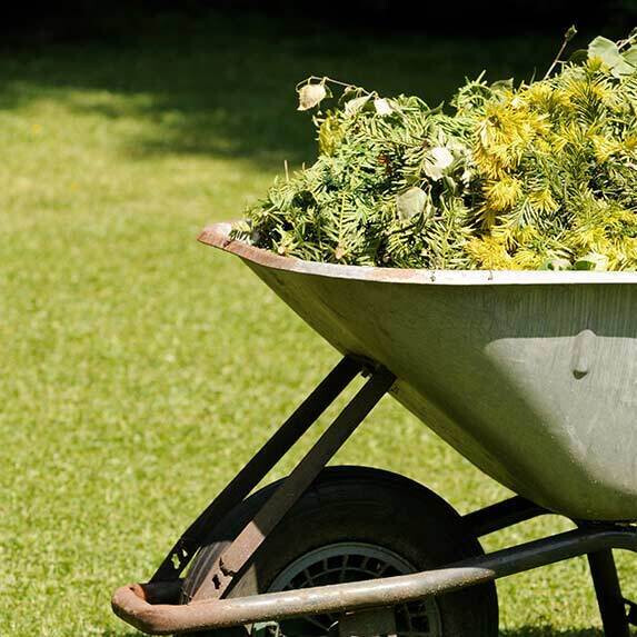 Collecte gratuite de déchets végétaux en benne statique