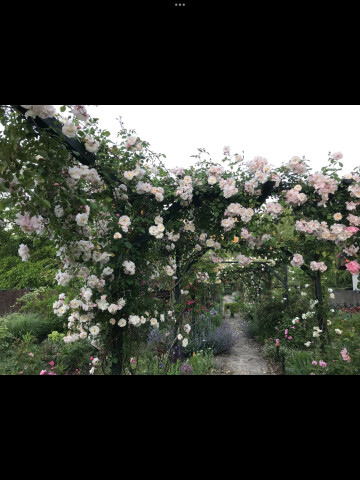 Visite libre du jardin des glandelles