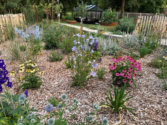 Visite d'un jardin thérapeutique