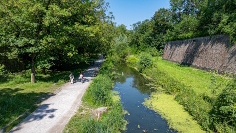 Découverte de la faune aquatique