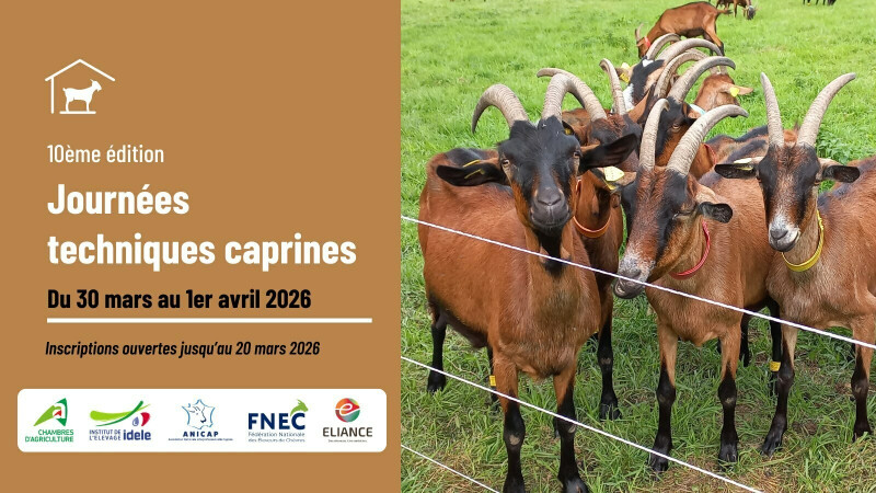 Journées techniques caprines