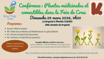 Plantes médicinales et comestibles dans le Foin de Crau