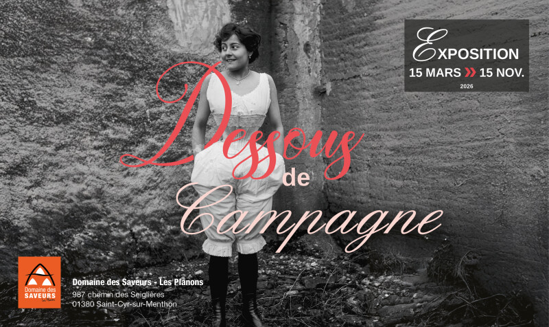 Visite à la lampe torche de l'exposition Dessous de campagne