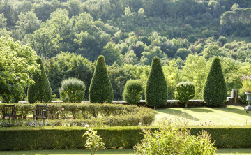 Voir sans être vu : les oiseaux du jardin