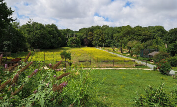 Des fenêtres au jardin