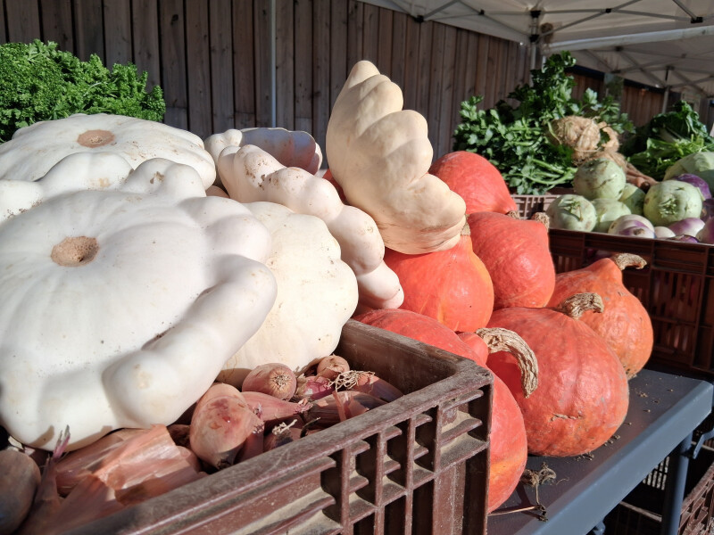 Trésors d’Automne