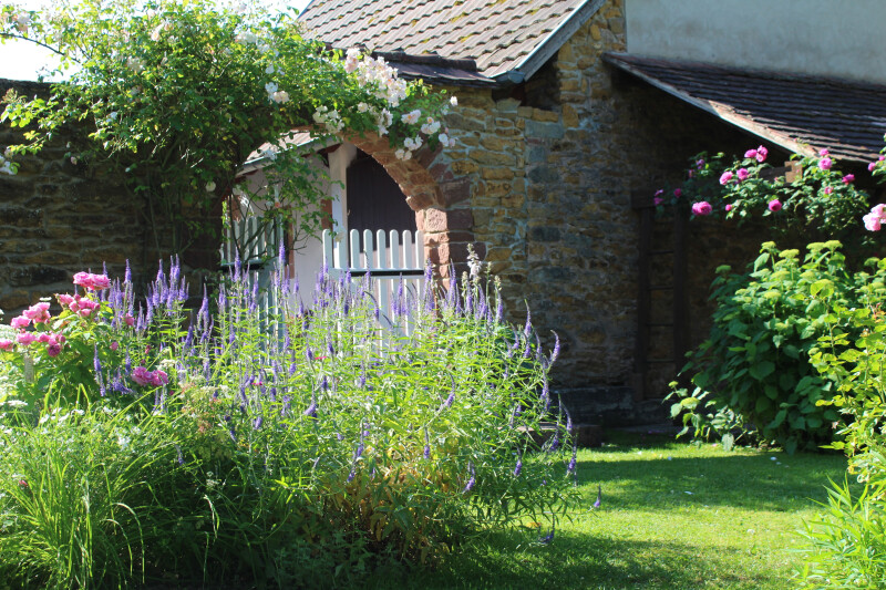 Jardins de roses, d'abeilles et de groseilles : Le Jardin de Manou