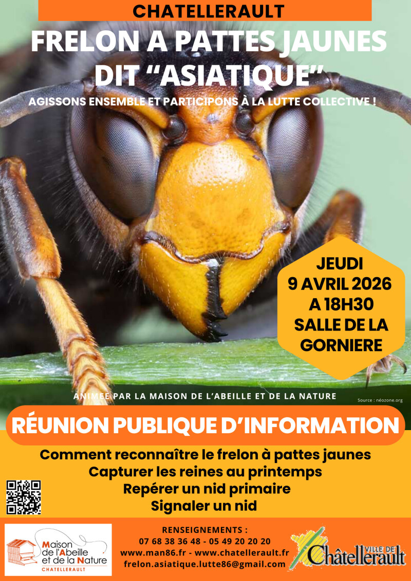 Réunion d'information publique sur le frelon à pattes jaunes (dit frelon asiatique)