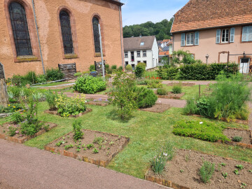 Visite guidée d'un jardin fruit du travail de passionnés