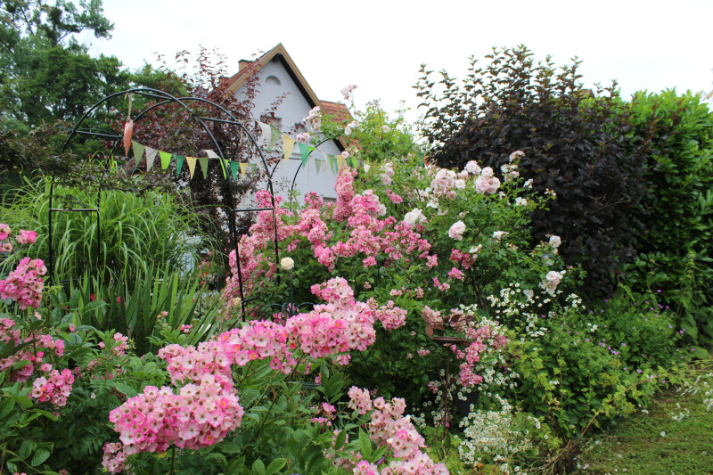 Jardins de roses, d'abeilles et de groseilles : Le Jardin des Cardamines
