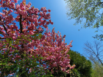 Visite olfactive du Parc de l’Orangerie